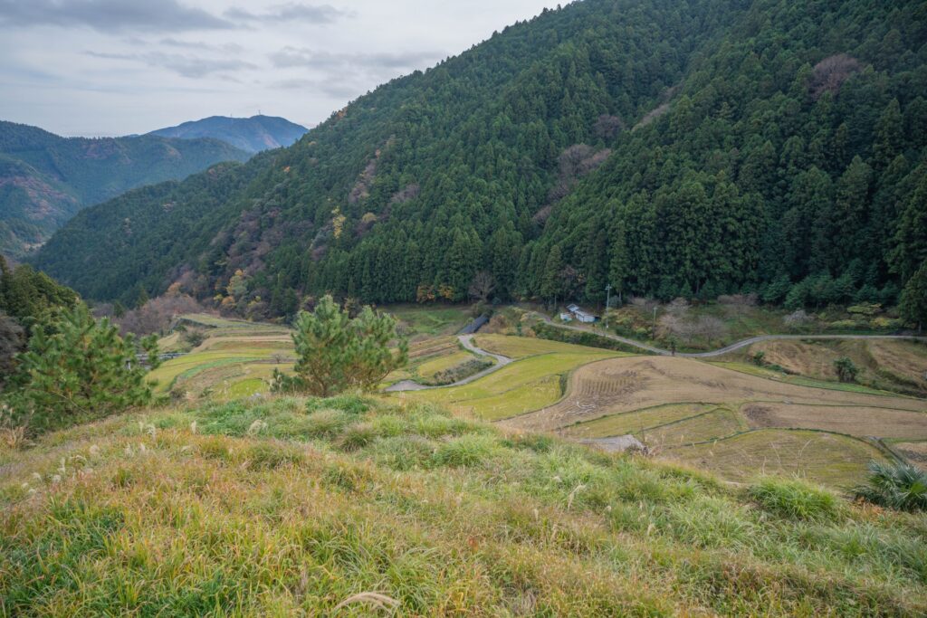 相続人の期待に反した遺言の例